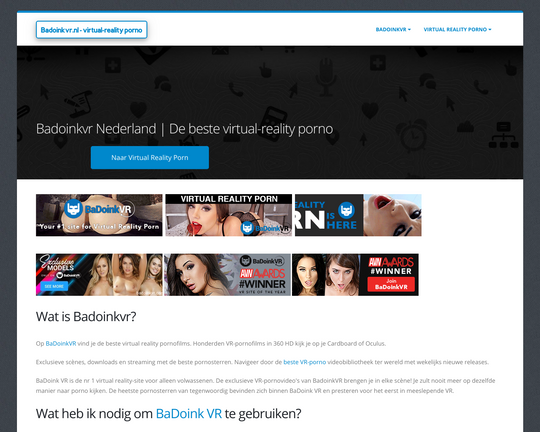 Badoinkvr.nl Logo