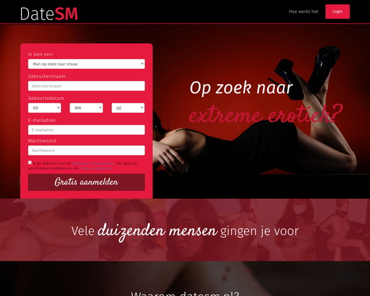 Datesm.nl Logo