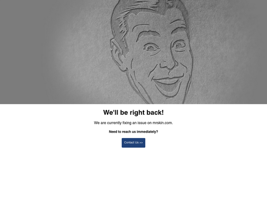Mrskin.com Logo