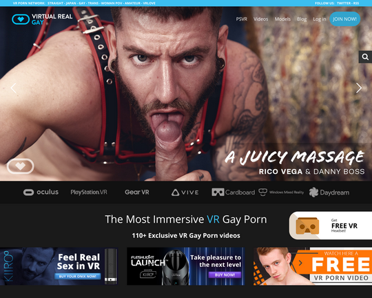 Virtualrealgay.com Logo